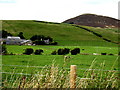 View towards Ord Hill