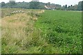 Towards Marlston Cottages