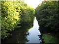 Maidenhead Flood Relief Channel between Bray and Bray Wick