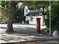 SZ0596 : Bearwood: postbox № BH11 262, Magna Road by Chris Downer