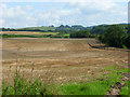 Farmland, West Knoyle