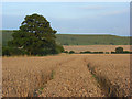 Farmland, Stourton