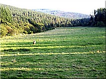 NO6690 : View up Glen Dye by Stanley Howe