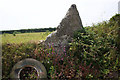 Standing Stone in hedge