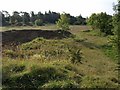 Former Brownstone Quarry, Leckhampton Hill