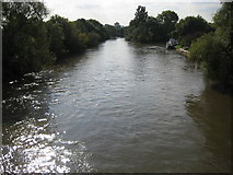SU9178 : River Thames near Bray by Nigel Cox