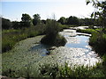 Ornamental Lake at Cymunod