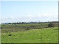 View across Cors Crigyll marsh