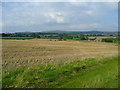 Stubble field south of Elvastone