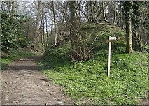 TM4189 : Footpath to Ringsfield Road by Graham Horn