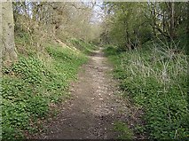 TM4189 : Path from Ringsfield Road by Graham Horn