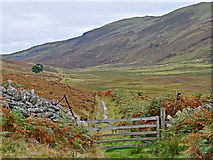 NN9636 : Gate on the track through Little Glen Shee by Dr Richard Murray