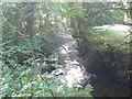 Sun streaming onto the River Rhaeadr