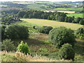 From Melandra Castle towards River Etherow