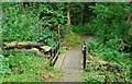 Footbridge, Banbridge