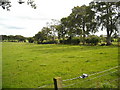 Fields Beside Jackton Road