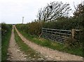 Field access track, Gorrans Down