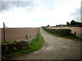 Track leading to Hopton Farm.