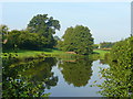 Pond at Bridstow