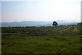 Field of Silage