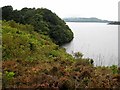 G7533 : South shore of Lough Gill by Oliver Dixon