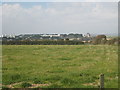 Pasture at Lamarth Farm