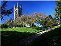 Church of St Peter & St Paul - Cattistock (2)