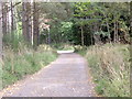 Track from Upper Lochton