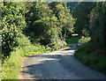 2008 : Lane out of North Wraxall