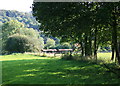 2008 : Wood Vale Farm near North Wraxall