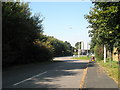 Looking towards the Emsworth Road from Farm Cottages