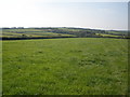 Field, near Holladon Farm