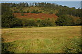 Silage field near Maestwynog