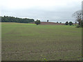 Fields alongside Melton Road