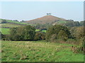 Symondsbury: fields below Colmer?s Hill