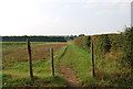 Bridleway into an orchard