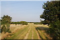 Track across the heath, East of Canterbury