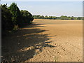 Field boundary on the E edge of Crockenhill village