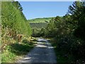 Garw Forestry Walk