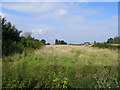 Line of the old Ross to Hereford railway