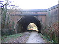 Castleman Trail, north of Broadstone