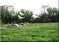 Redundant pig huts beside path