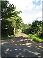 Access road to Ambleside