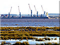 The Immingham Ore Terminal from the Humber north bank