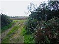 Path junction on the New Lipchis Way