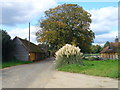 Balls Barn on the New Lipchis Way