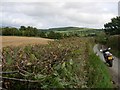 Field boundary near Wern