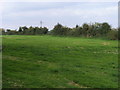 Footpath to Old Arngrove farm