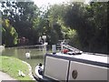 ST8260 : Pound below the Lock on the Kennet and Avon Canal by Sarah Charlesworth
