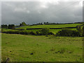 Fields near Cefngwilgy-fawr farm